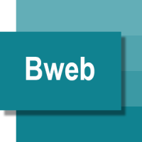 Logo_BWeb - Reverse Conseil